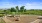 spacious playground with swings